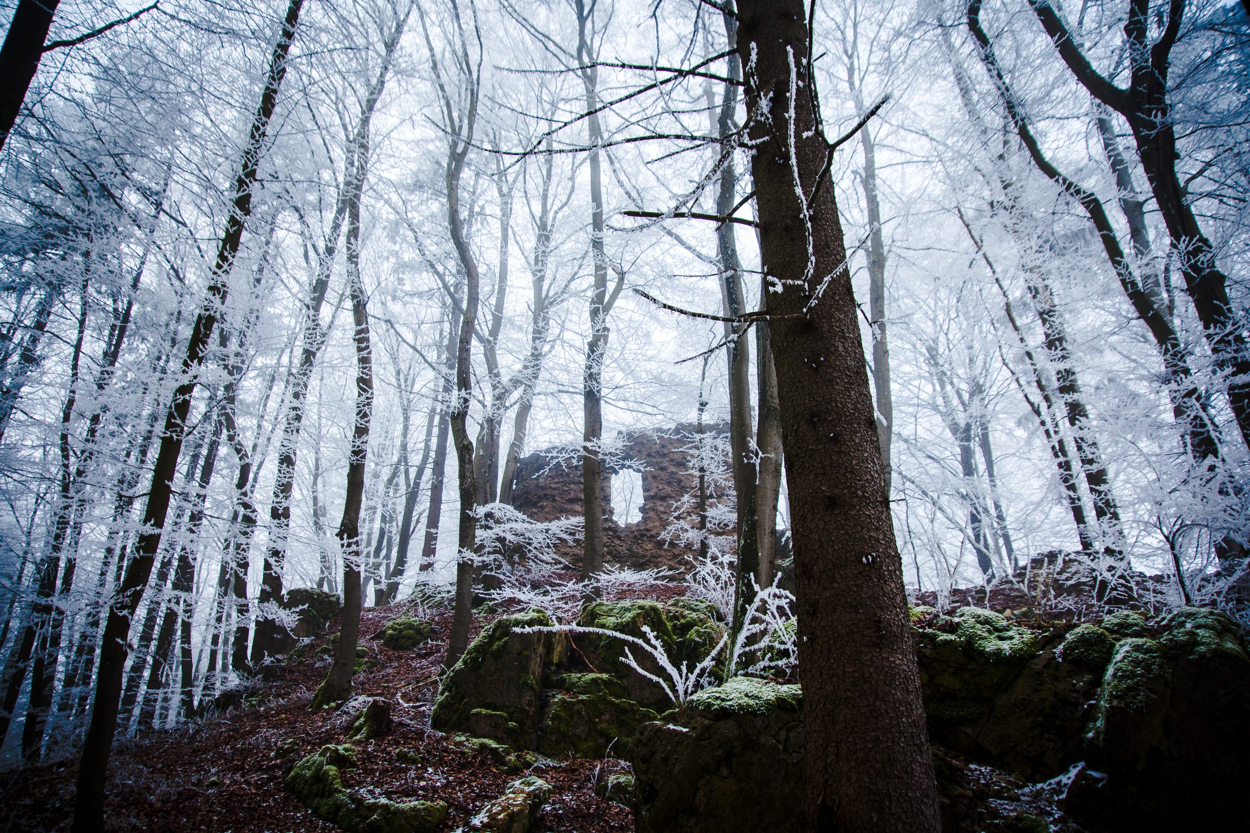 Winterliche Burgruine Poppberg
