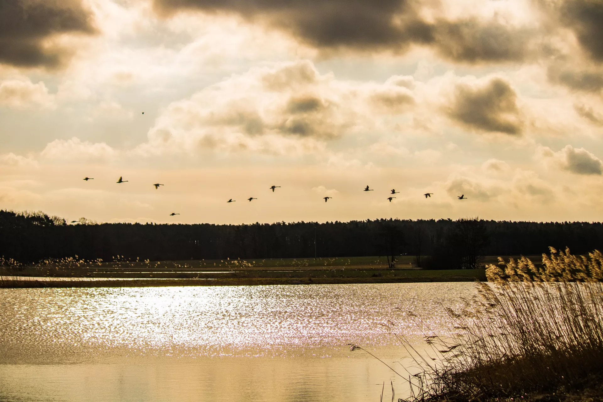 Weiher im Landkreis Erlangen-Höchstadt